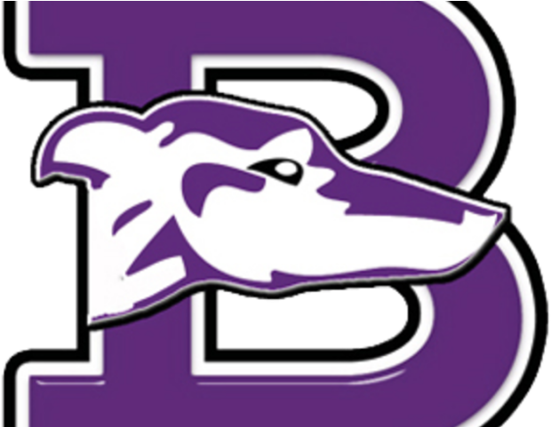 Greyhound Clipart Purple - Boerne High School Logo - Png Download (640x480), Png Download