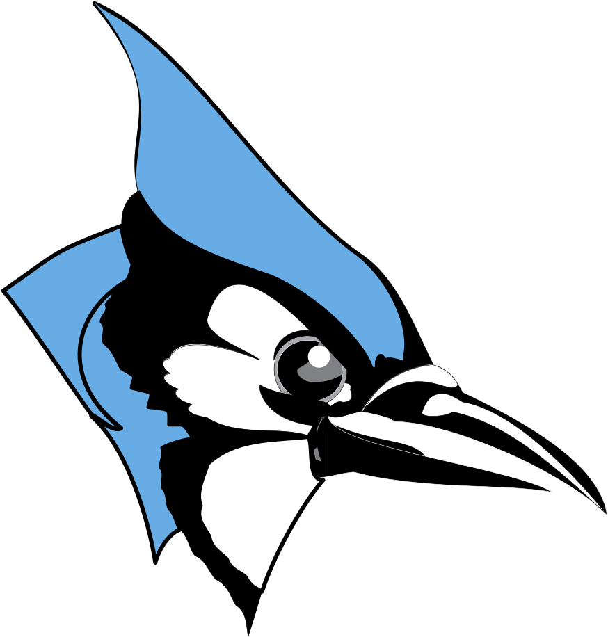 Jay Clipart Transparent - Johns Hopkins University Blue Jay - Png Download (933x1024), Png Download