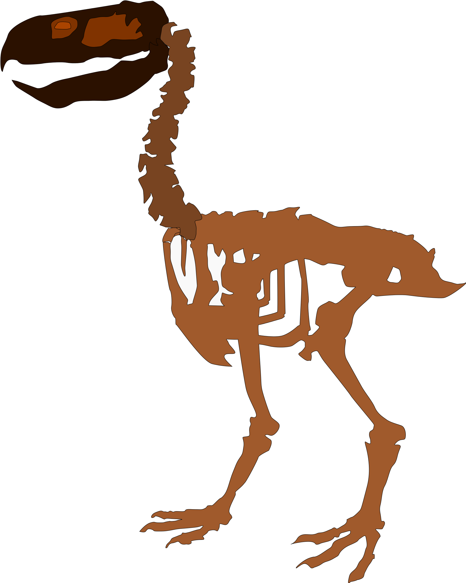 Open - Paraphysornis Skeleton Clipart (2000x2491), Png Download