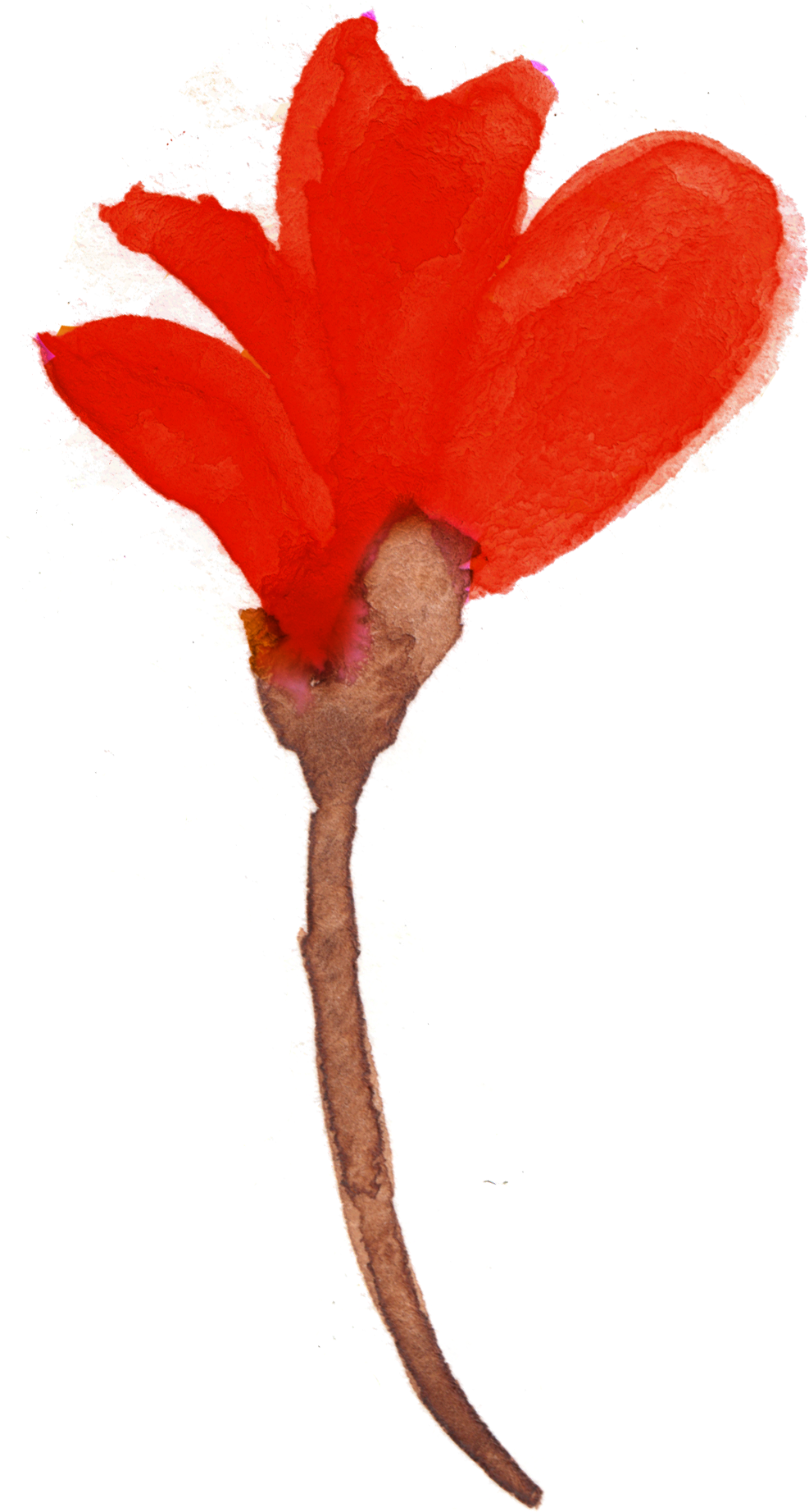 Free Watercolor Floral Elements- Pretty - Watercolor Painting Clipart (1046x1854), Png Download