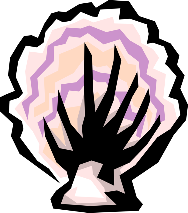 Vector Illustration Of Marine Mollusk Seashell Clipart (619x700), Png Download