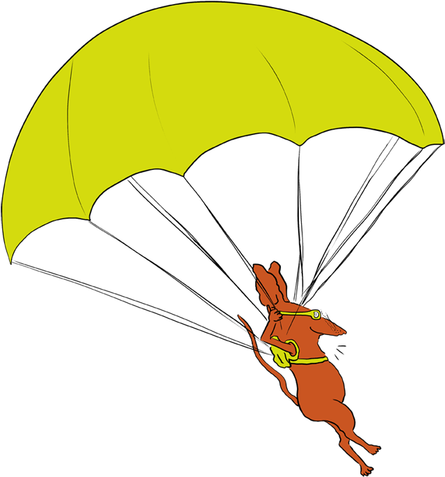 In New Zealand The Professor Took Up Skydiving - Clip Art - Png Download (660x697), Png Download