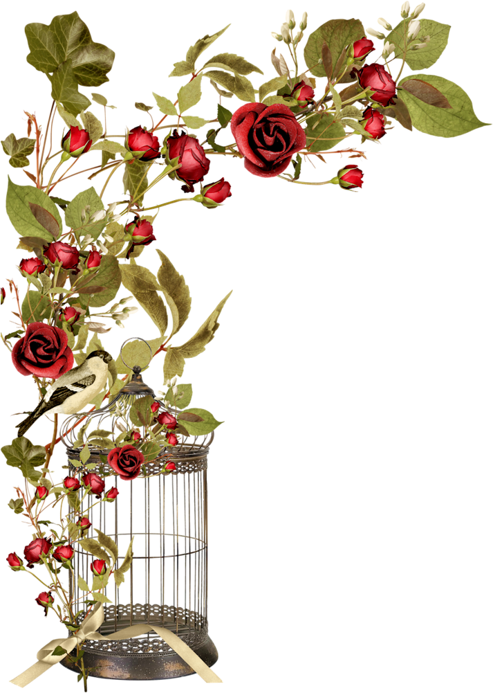 Borders * Cantoneiras * Cluster - Jaula Con Rosas En Png Clipart (731x1024), Png Download