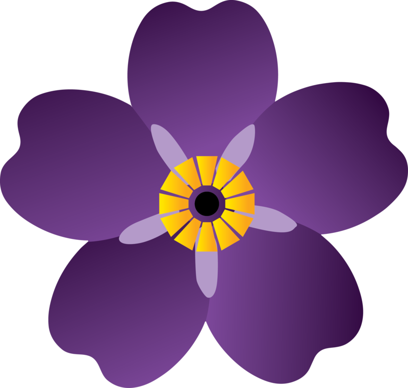 On The Armenian Genocide - Armenian Flower Clipart (800x760), Png Download