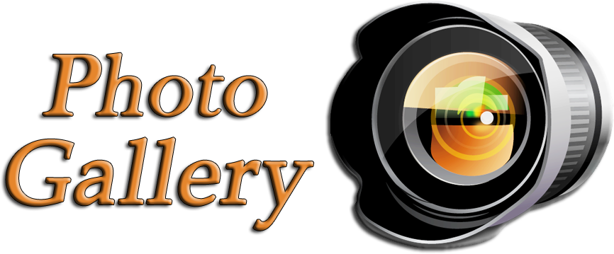 Photo-gallery1 - Ak Photography Clipart (866x359), Png Download