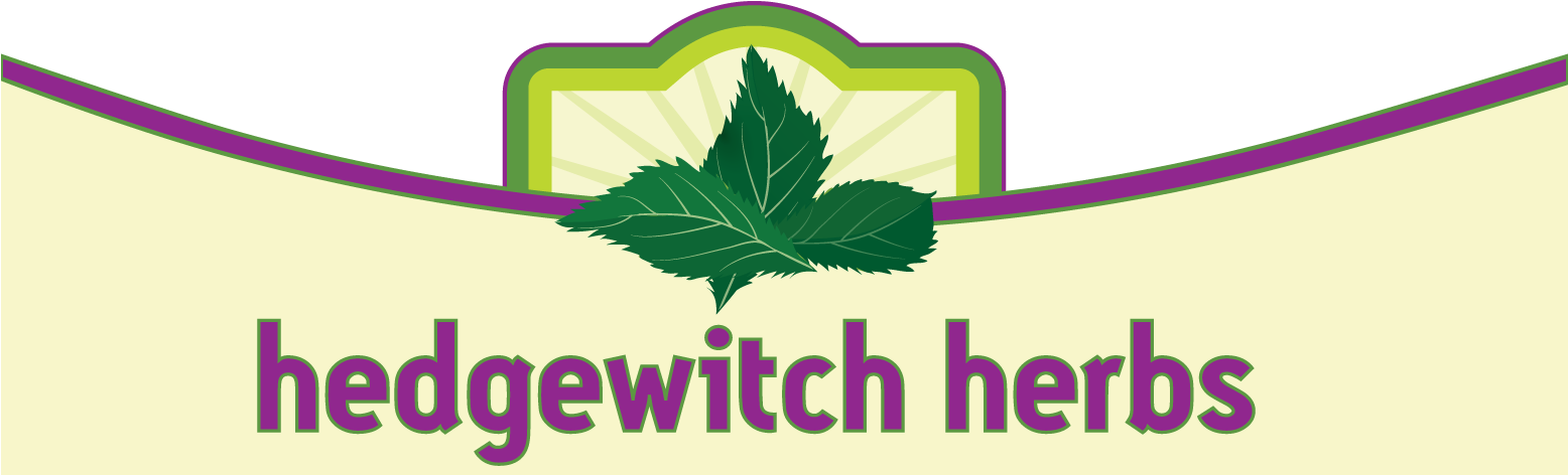 Graphic Design Clipart (1555x540), Png Download