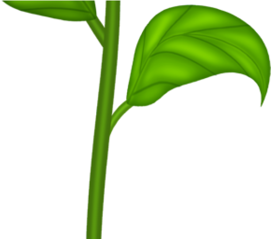 Orange Flower Clipart Day - Clip Art - Png Download (640x480), Png Download