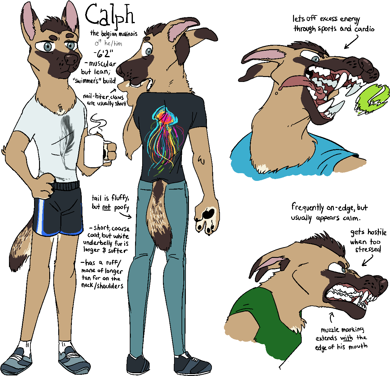 [commission] Reference - Cartoon Clipart (1280x1280), Png Download