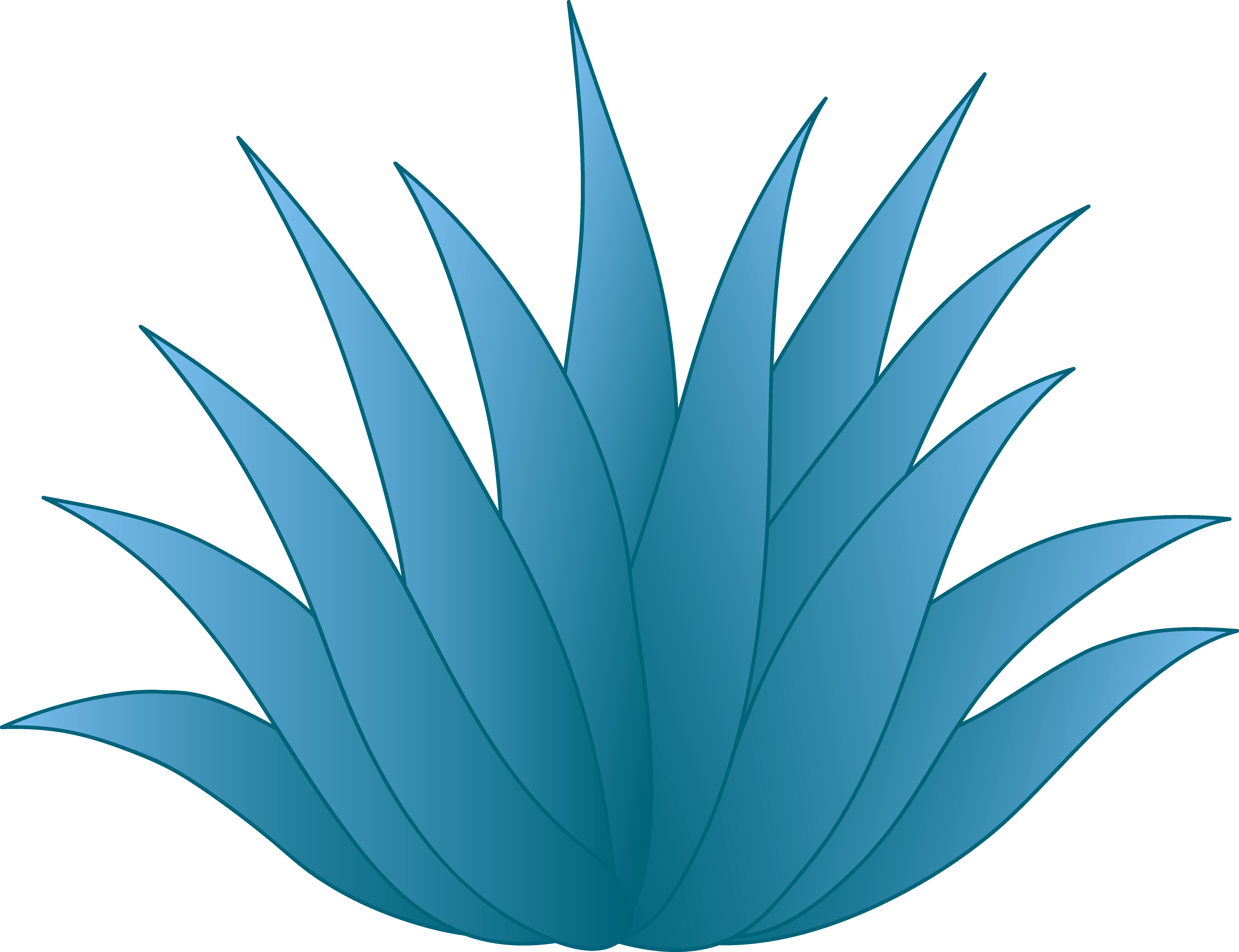 Agave Clip Art - Png Download (6502x4998), Png Download