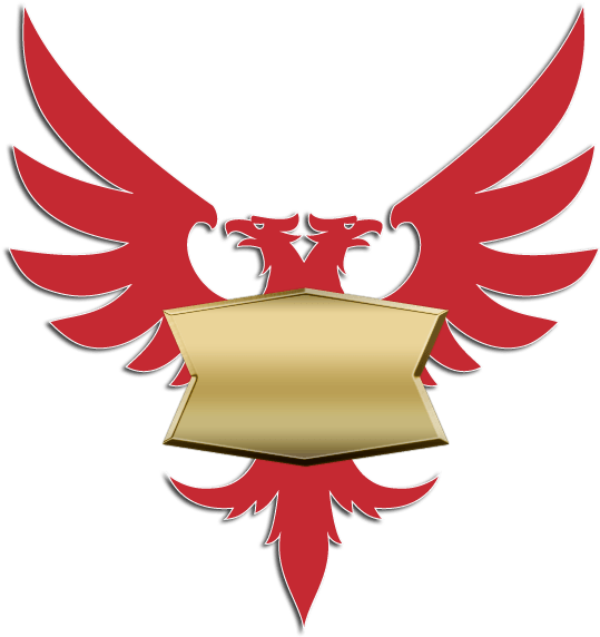 2017 - Black Eagle Clipart (553x600), Png Download