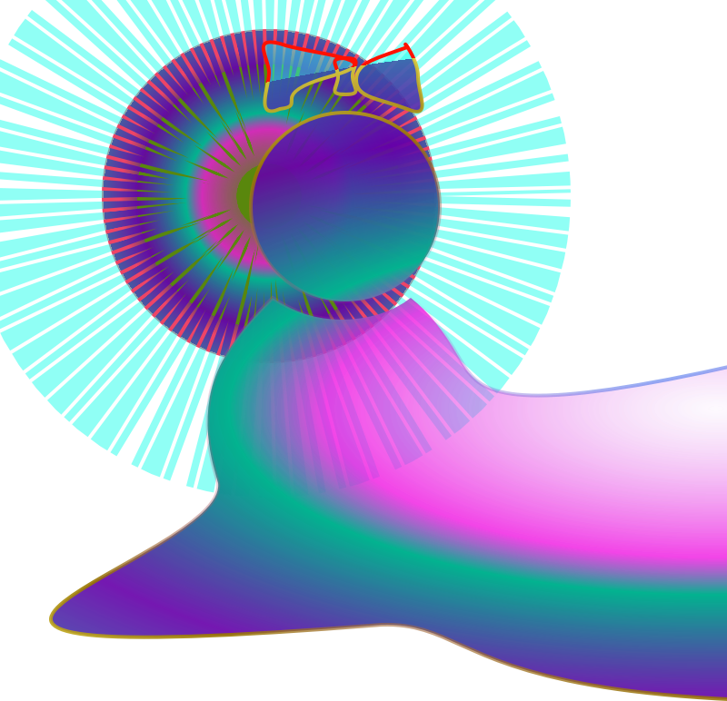 Medium Image - Clip Art - Png Download (800x772), Png Download