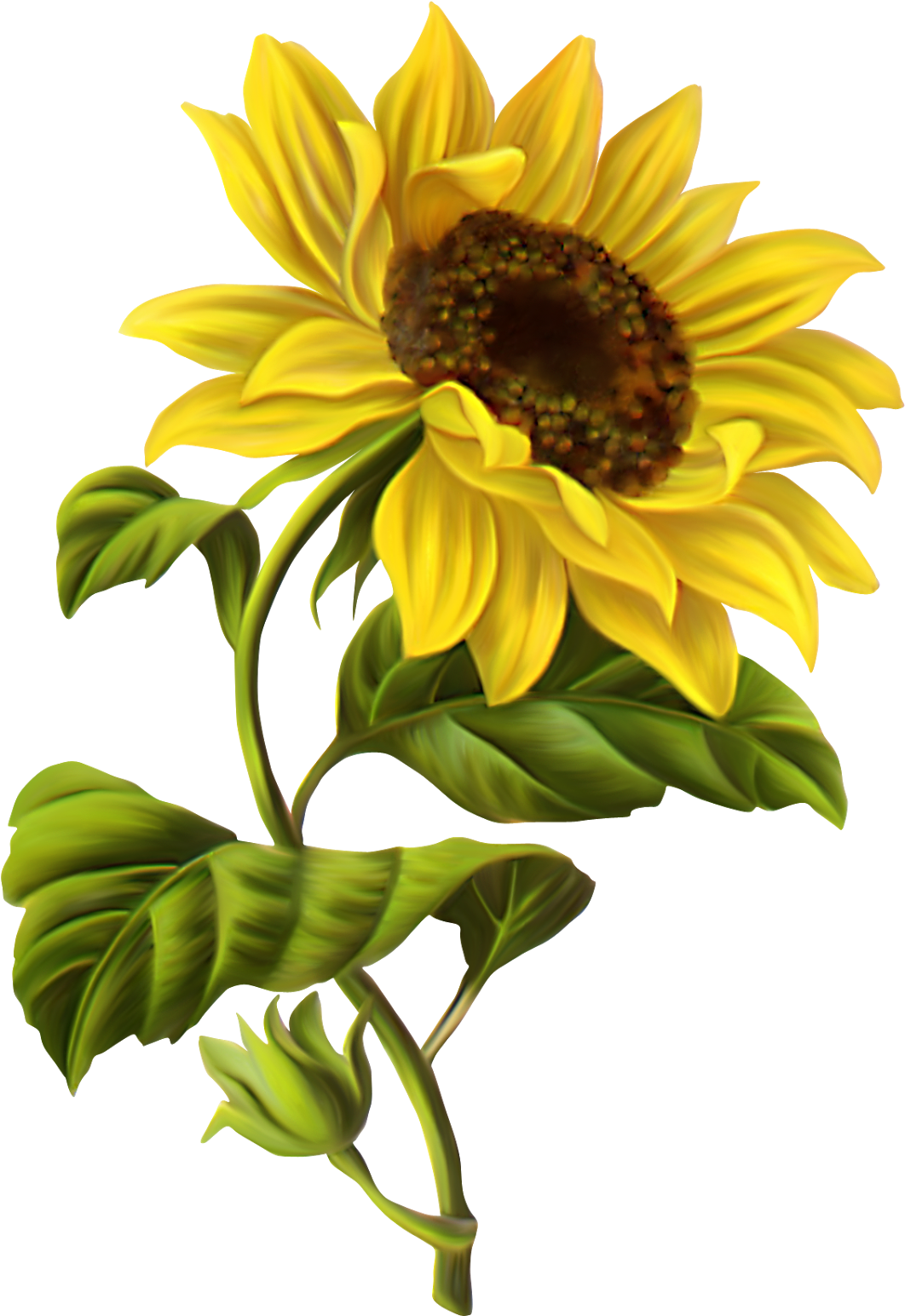 Feeling Of Fall - Sunflower Illustration Clipart (1117x1600), Png Download