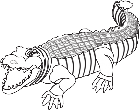 Crocodile Clipart Colour - Crocodile Black And White Png Transparent Png (640x480), Png Download