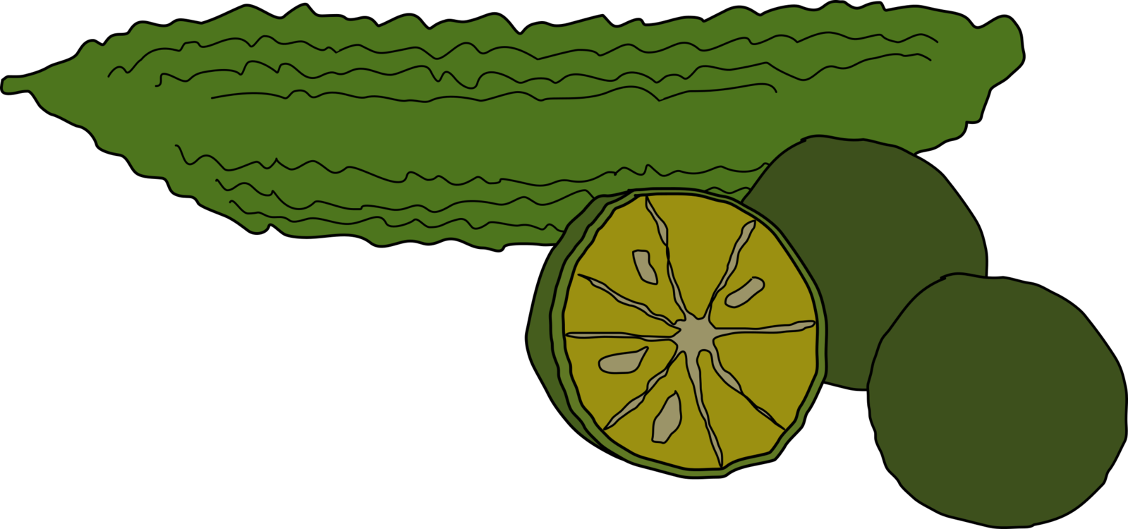 Bitter Melon Coffee Food Vegetable Pumpkin - Bitter Foods Clip Art - Png Download (1599x750), Png Download