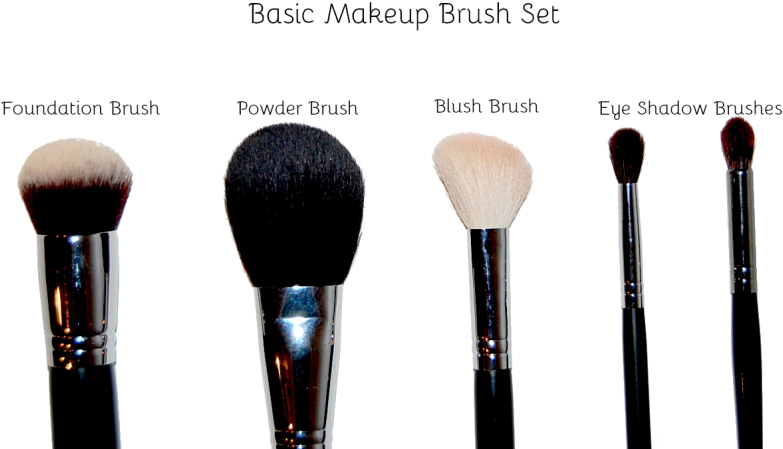 These Are The Very Bare Bones Necessities When It Comes - Makeup Brushes Clipart (877x482), Png Download