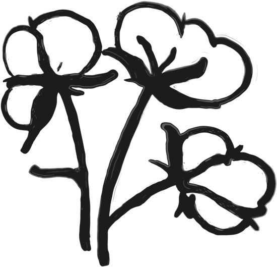 Download Cotton Blossom Clipart - Png Download (1000x600), Png Download