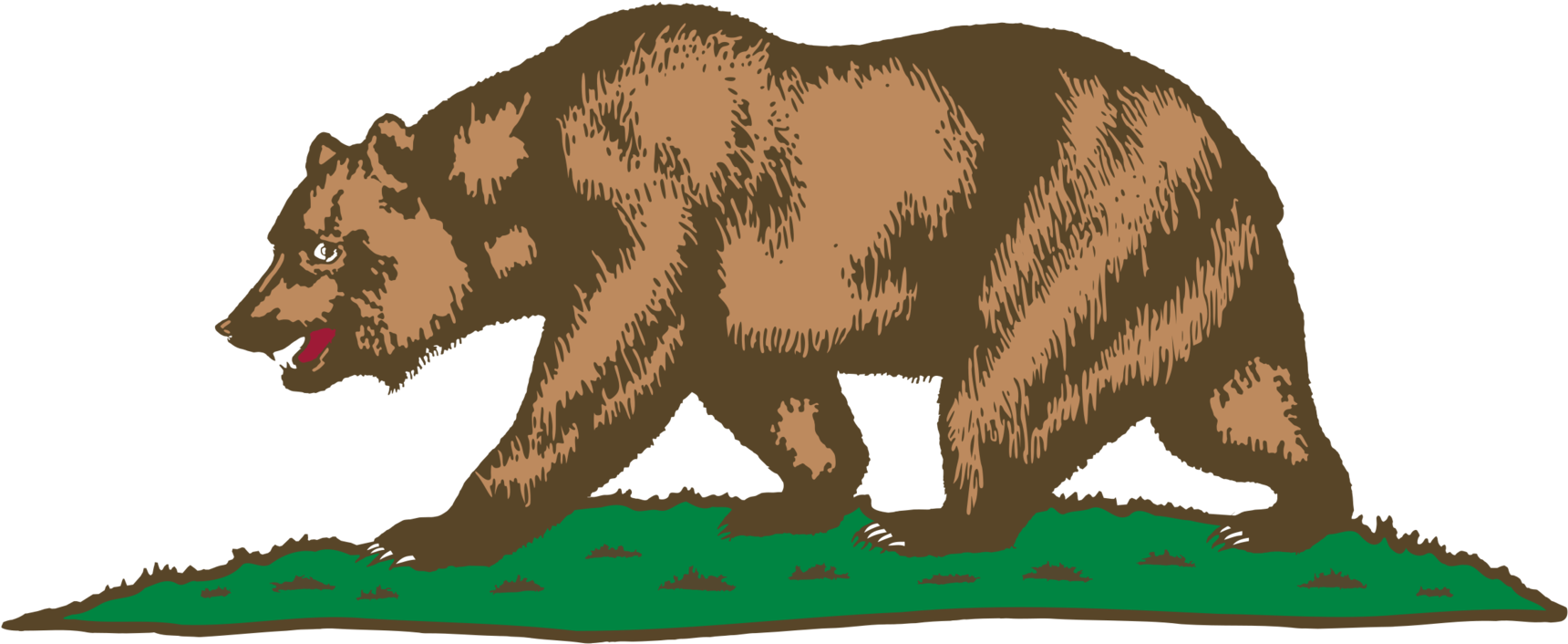 Drawn Grizzly Bear Cali Bear - California Grizzly Bear Drawing Clipart (1749x750), Png Download