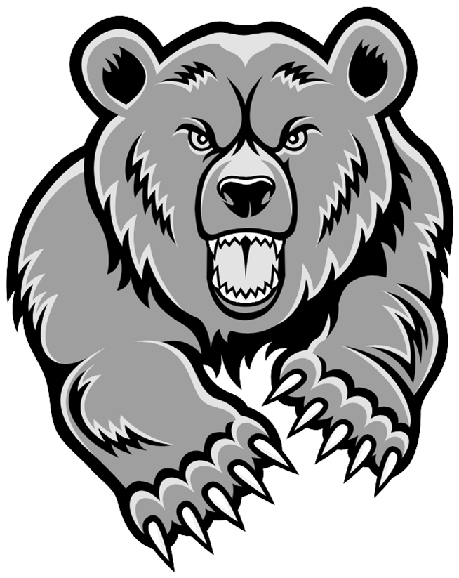 Transparent Grizzly Bear Clipart - Png Download (999x999), Png Download