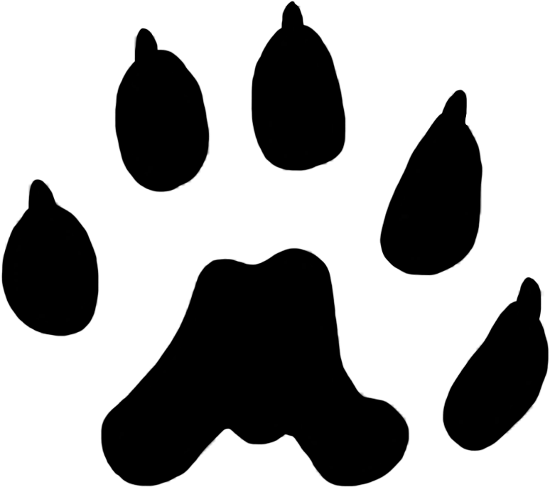 Cat Paw Prints Clipart Jpg Transparent Library Cat - Long Tailed Weasel Paw Print - Png Download (881x1004), Png Download