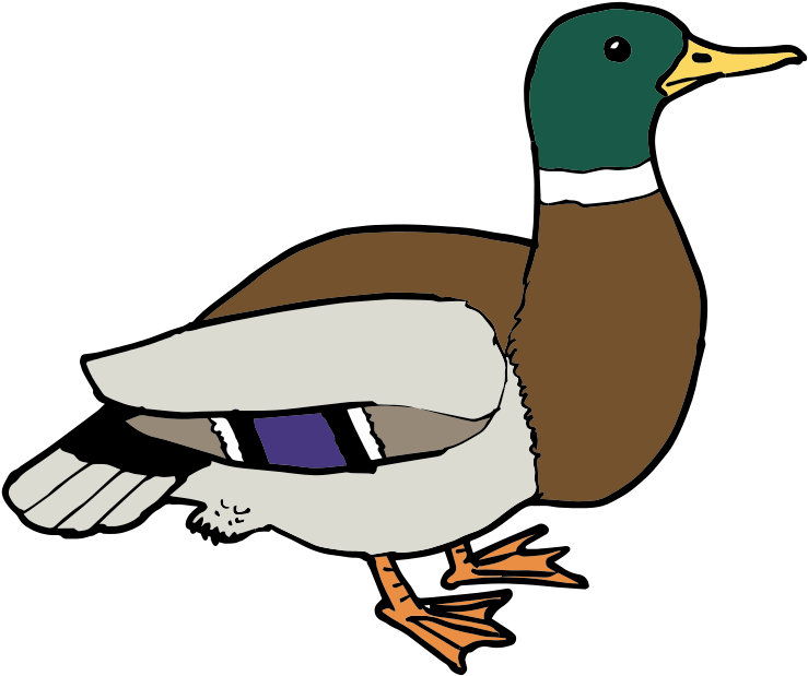 Free Duck Clipart At Getdrawings - Free Clip Art Duck - Png Download (800x760), Png Download