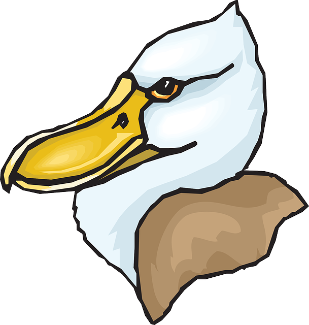 Head, Big, Bird, Duck, Feathers, Beaked, Beak - Clip Art - Png Download (609x640), Png Download