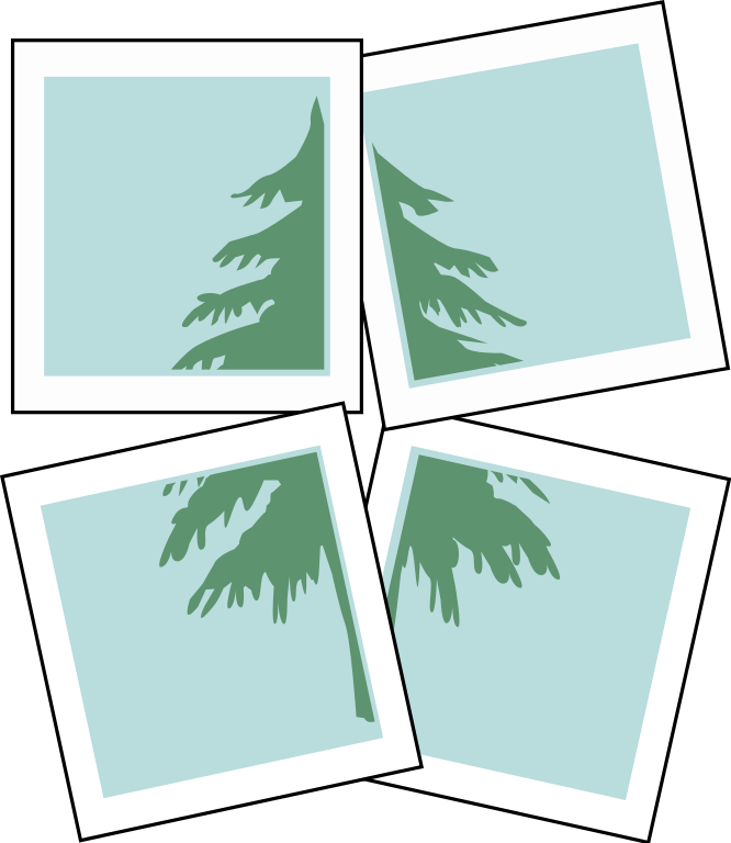 Clip Art - Png Download (520x600), Png Download