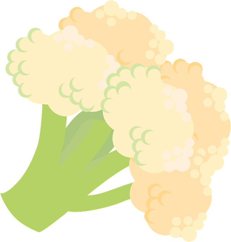 Cauliflower Vegetable Clipart - Illustration - Png Download (765x800), Png Download