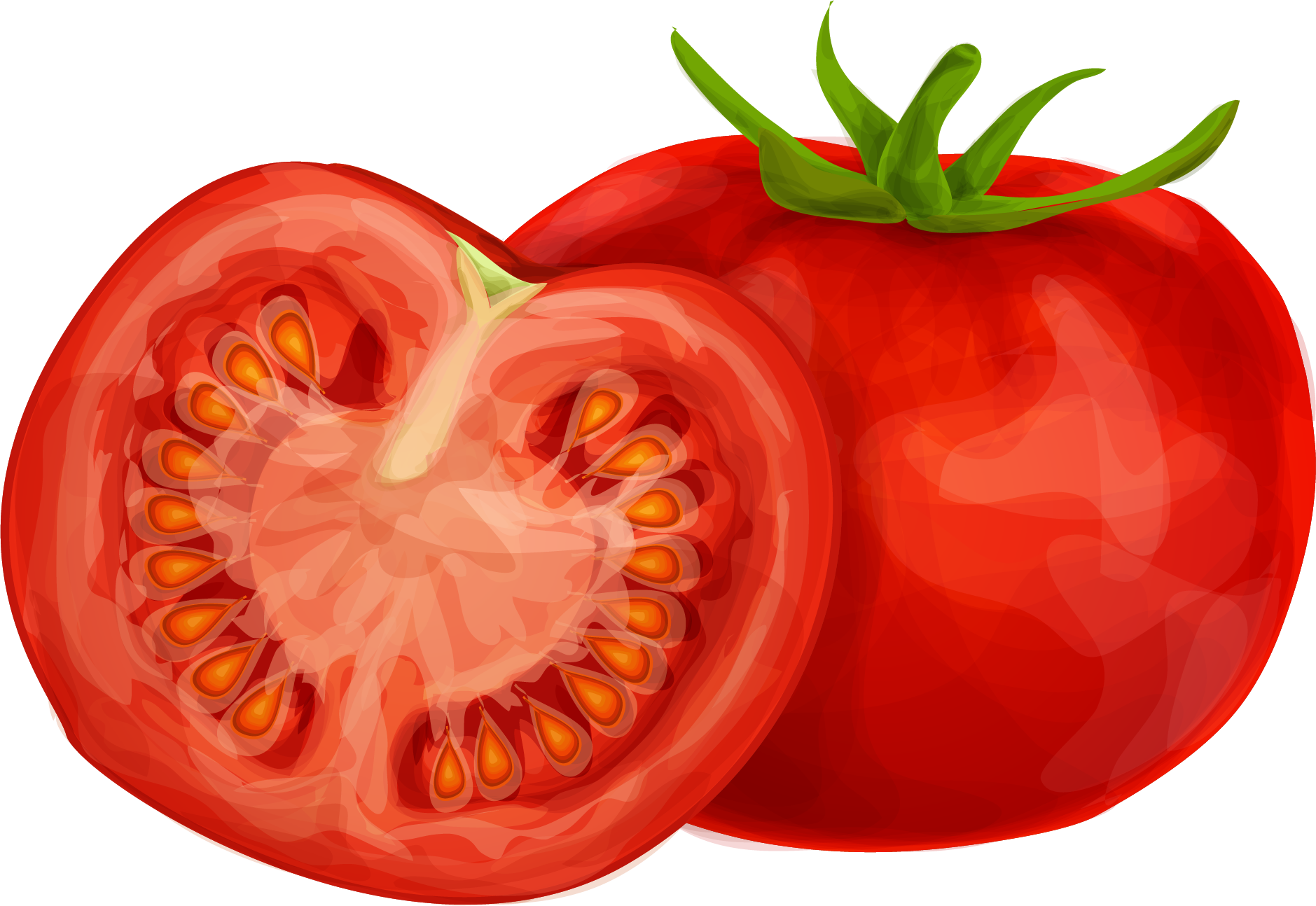 15 Tomato Clipart Png For Free Download On Mbtskoudsalg - Tomato Clipart Transparent Png (1879x1294), Png Download