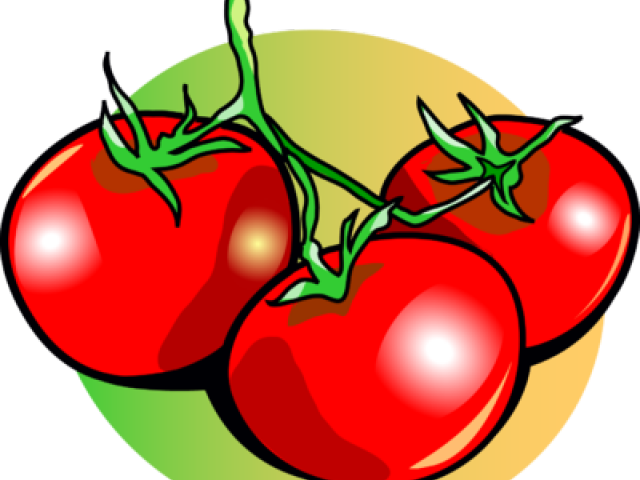 Transparent Tomate Clipart - Tomatoes Clip Art - Png Download (640x480), Png Download