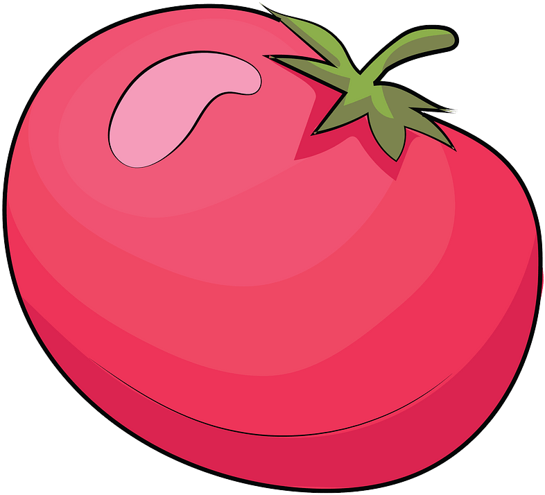Tomato Clipart - Illustration - Png Download (800x800), Png Download