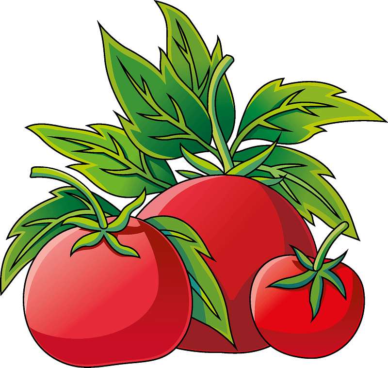 Tomato Clipart - Apple - Png Download (800x759), Png Download