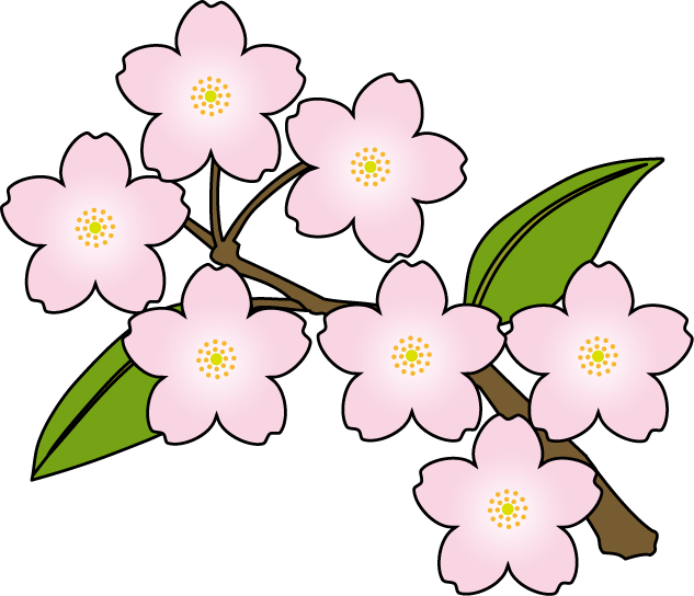 Japanese Flowers Clipart - Sakura Flowers Clip Art - Png Download (633x544), Png Download