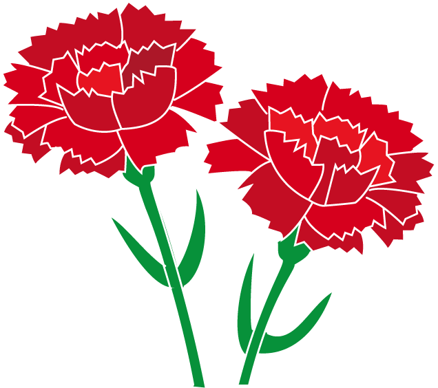 Carnation Red Clip Art - Carnation Clipart - Png Download (636x564), Png Download