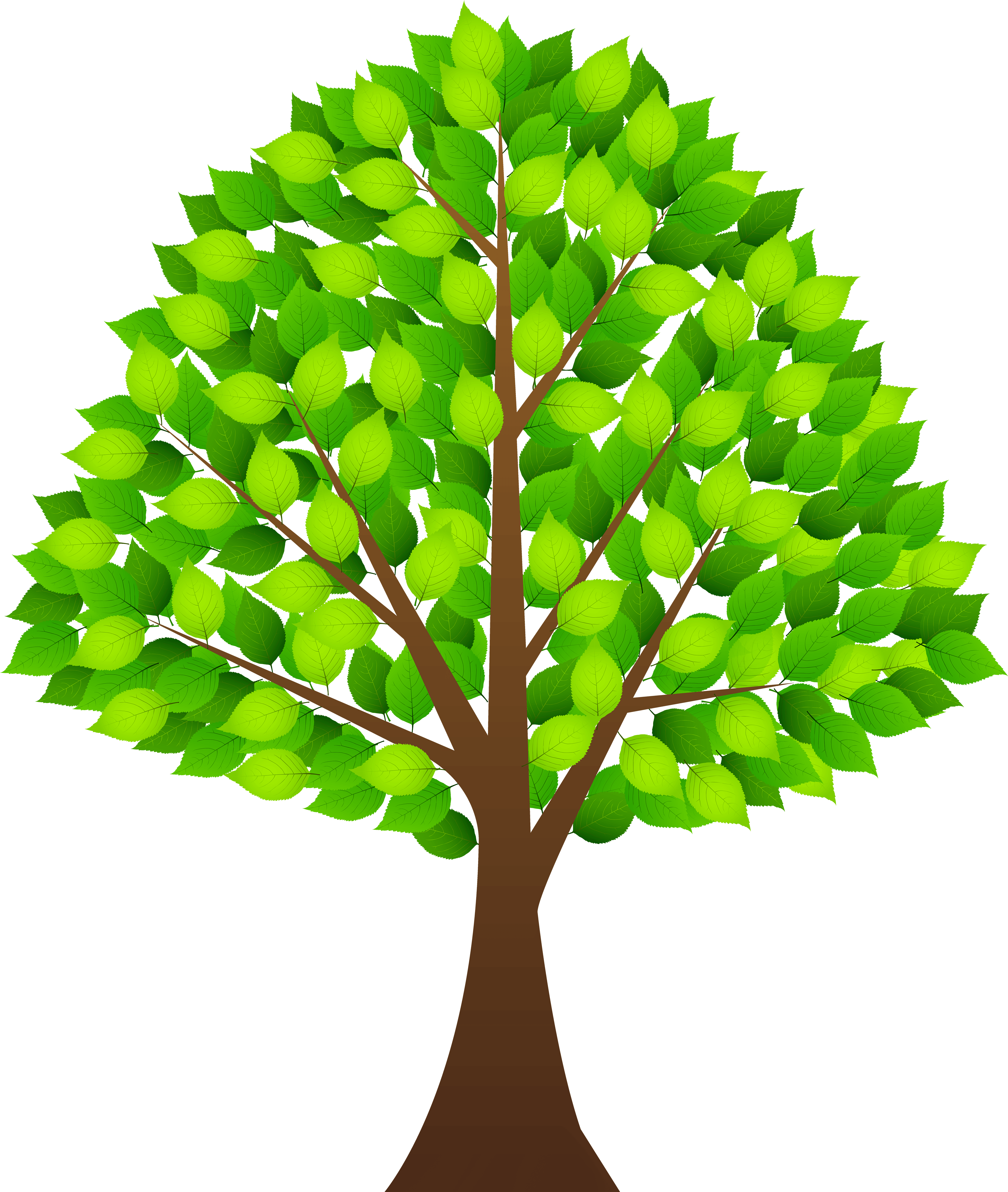 Tree Clip Art With Transparent Background