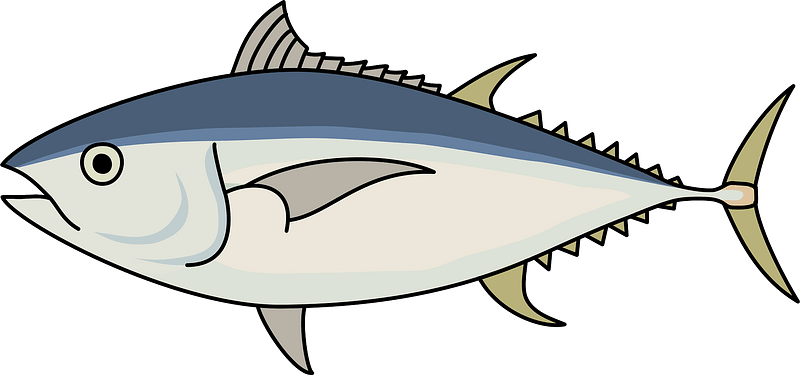 Bigeye Tuna Fish Clipart - Bigeye Tuna Clipart - Png Download (800x375), Png Download