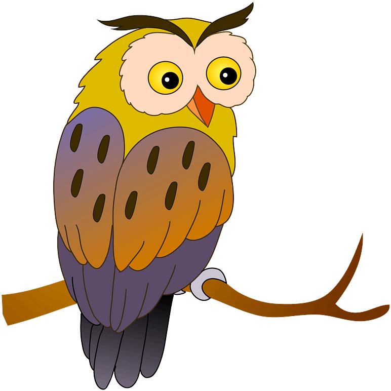 Owl Clipart - Png Download (800x781), Png Download