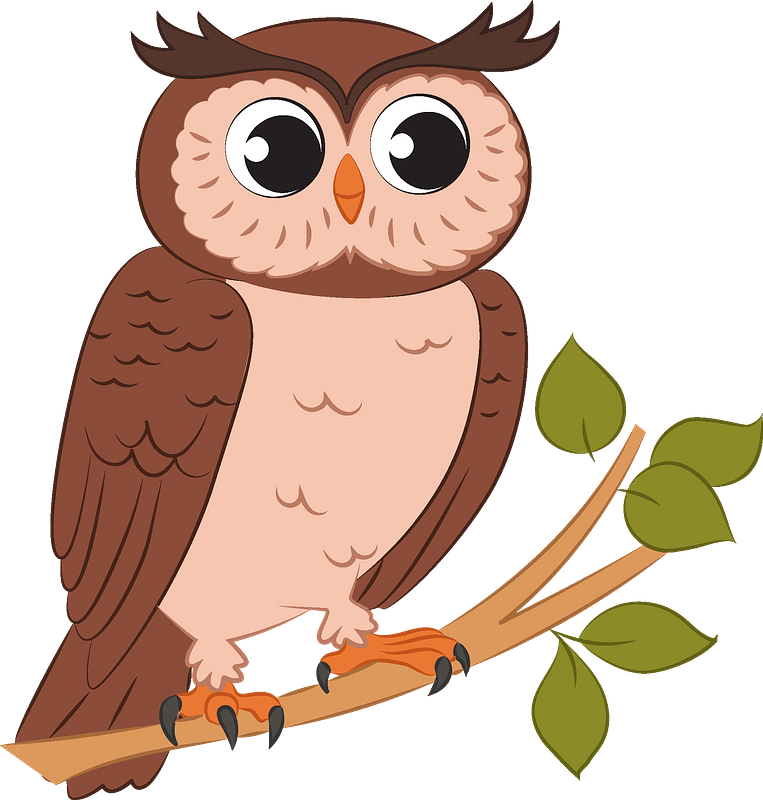 Owl Clipart - Png Download - Full Size Clipart (#5193115) - PinClipart