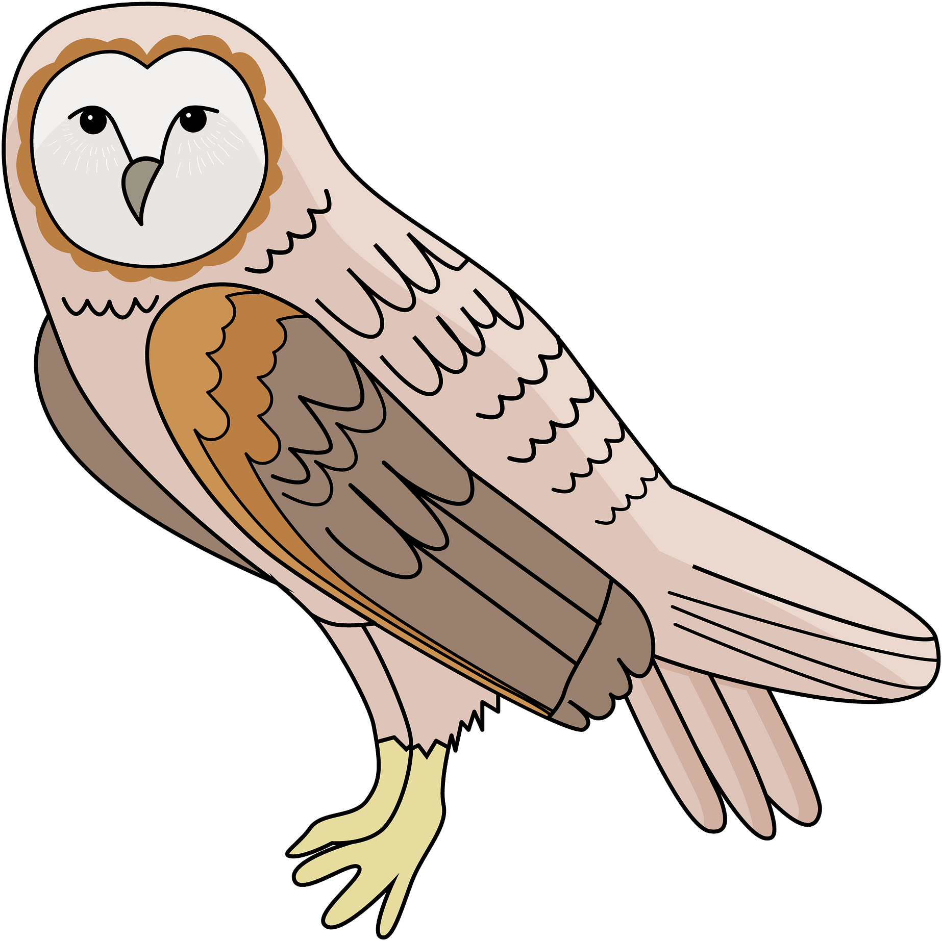 "
 	 Src="https - Free Clipart Barn Owl - Png Download (1280x1265), Png Download