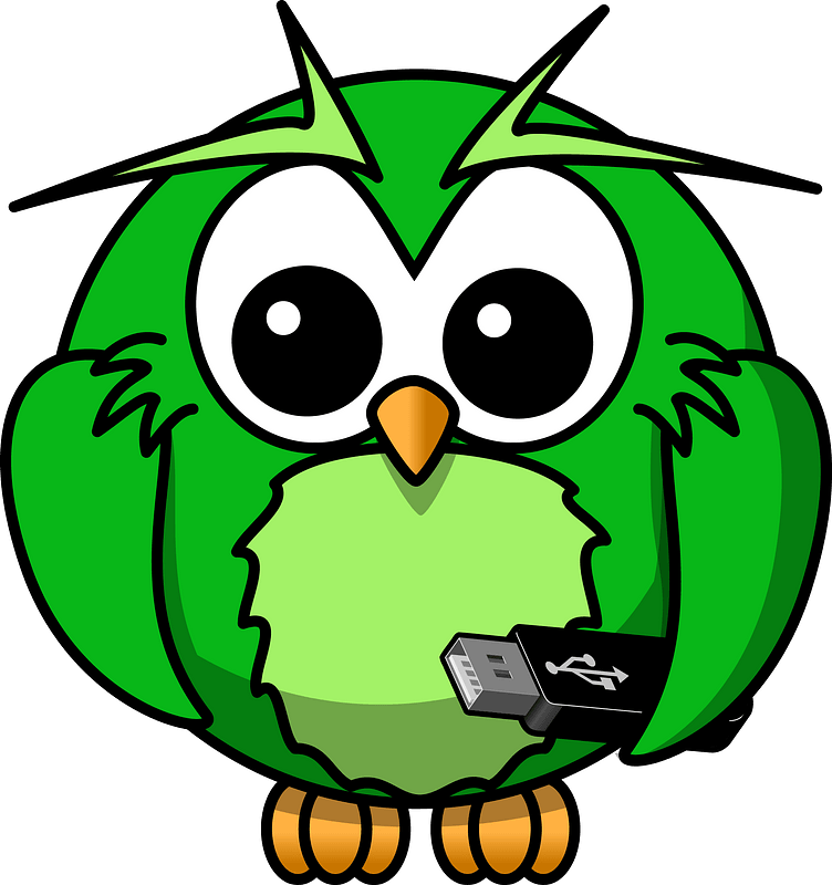 Cartoon Owl Clipart - Owl Cartoon - Png Download (752x800), Png Download