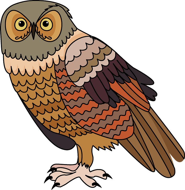 Owl Clipart - Owl - Png Download (777x800), Png Download