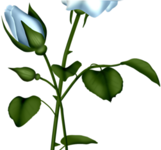 Blue Clipart Transparent Flower Png (640x480), Png Download