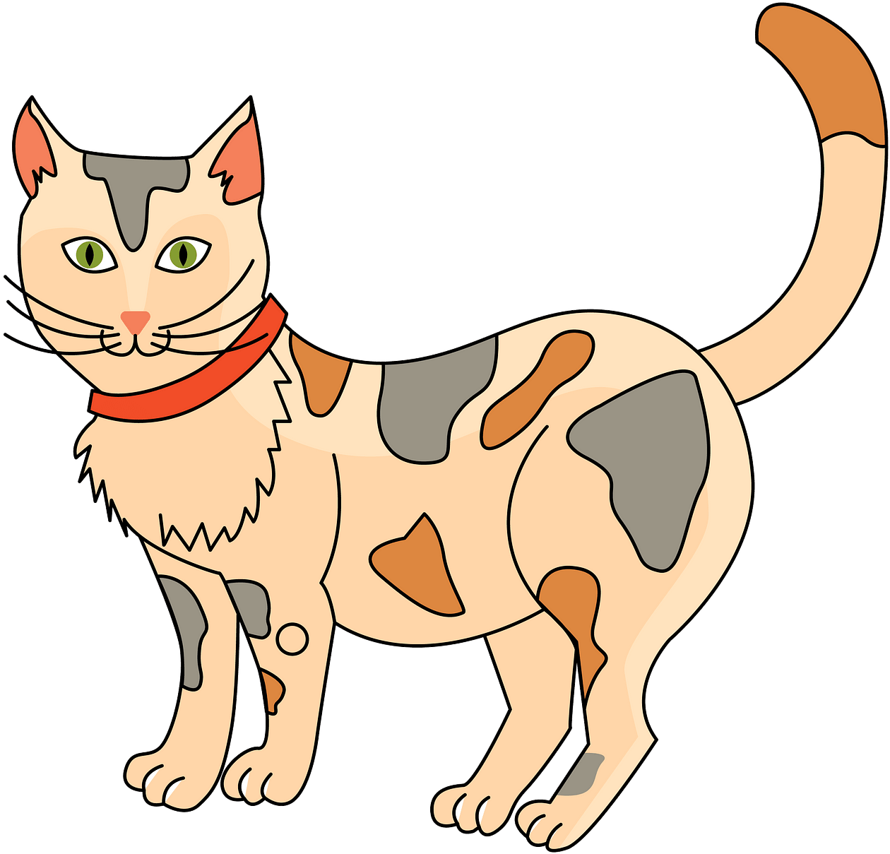 Cat Clipart - Clipart Picture Of Cat - Png Download (800x779), Png Download