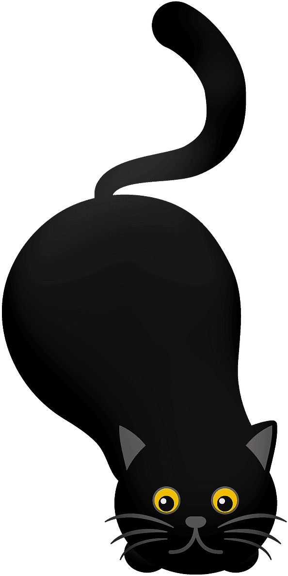 Playful Black Cat Clipart - Domestic Short-haired Cat - Png Download (428x800), Png Download