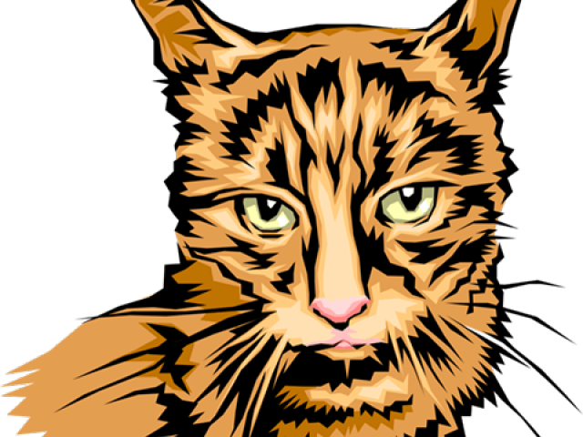 Tabby Cat Clipart Cat Head - Clip Art - Png Download (640x480), Png Download
