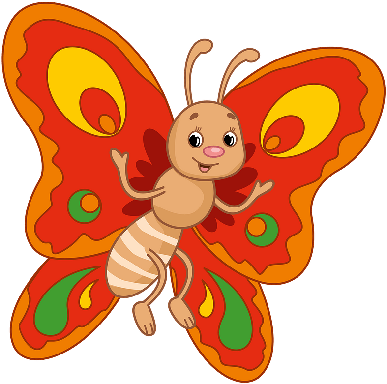 Butterfly Clipart - Cartoon - Png Download (800x794), Png Download