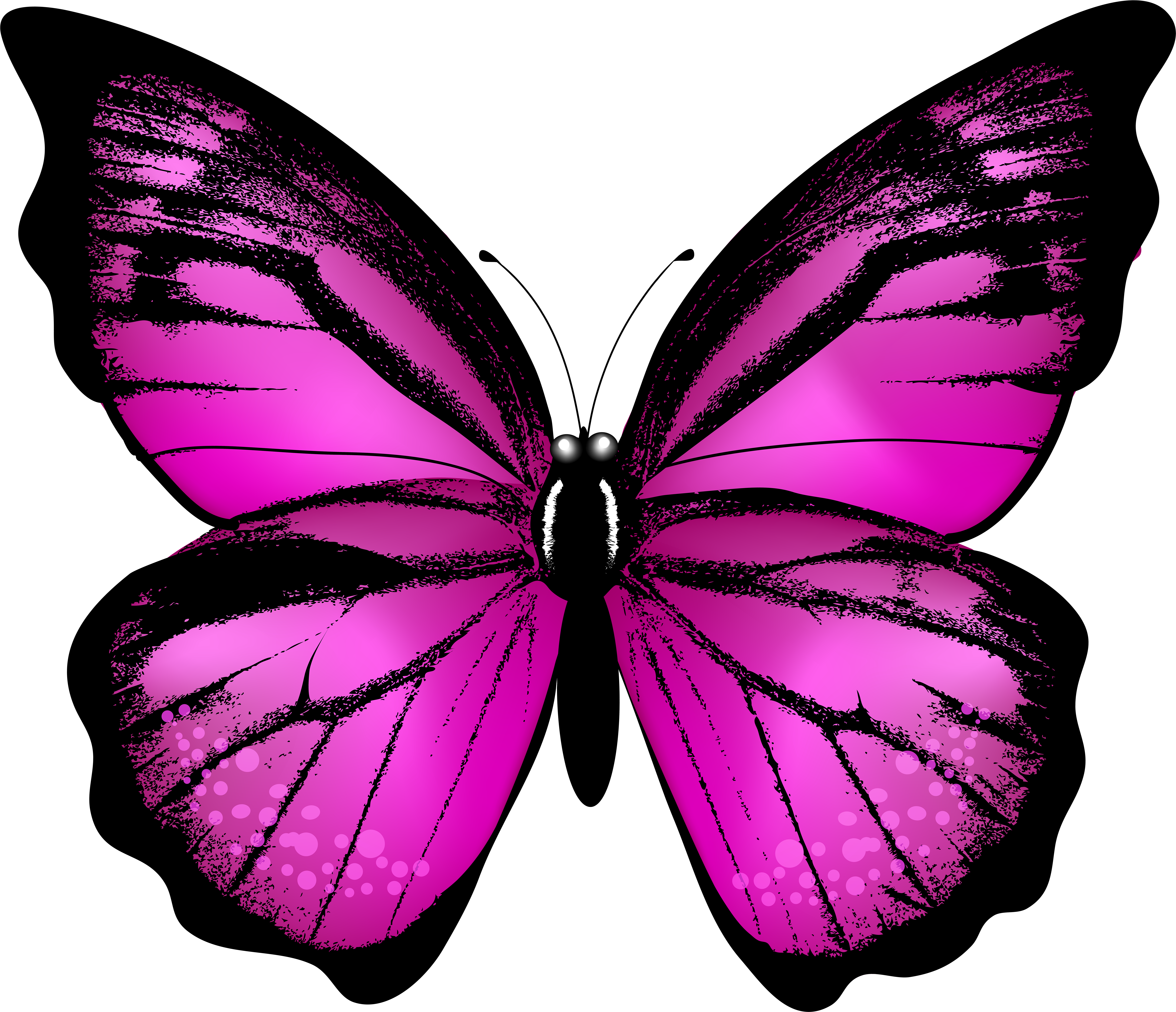 Butterfly Clipart Pink - Png Download (8000x6914), Png Download
