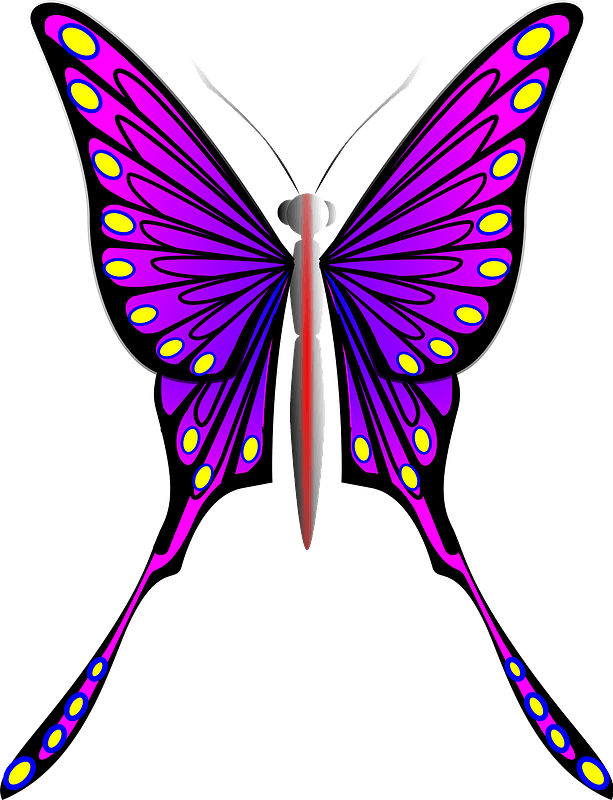 Purple Butterfly Clipart - Butterflies - Png Download (613x800), Png Download
