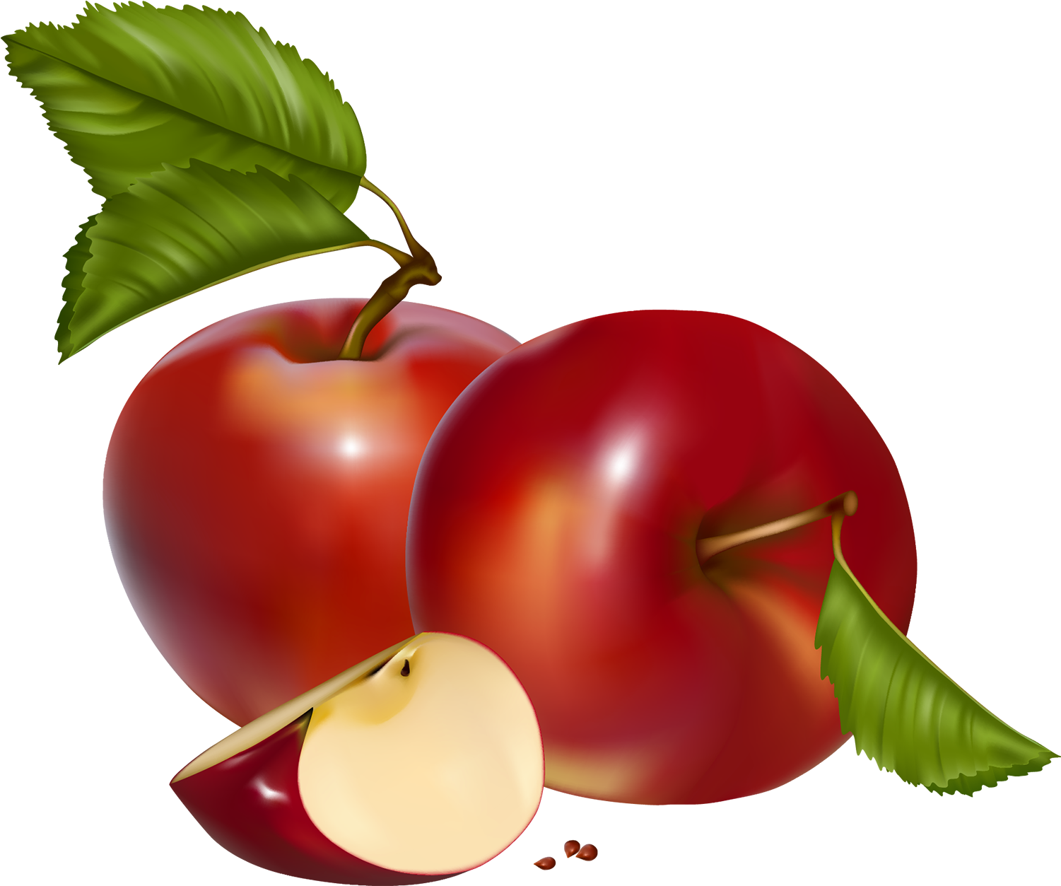 Apples Clipart Png ,hd Png - Apples Clipart Png Transparent Png (1554x1296), Png Download