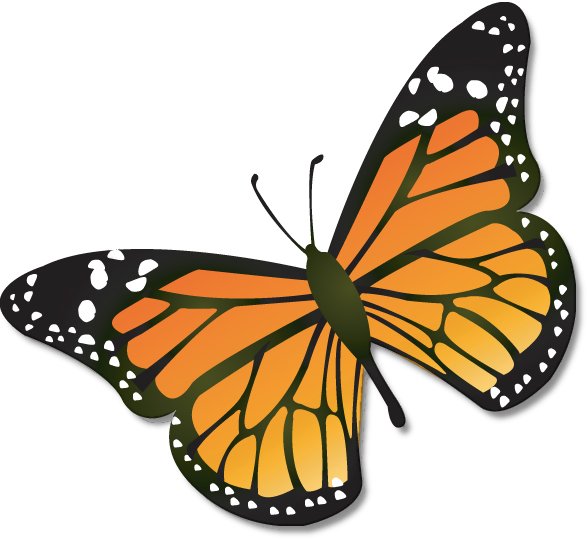 Free Cartoon Monarch Butterfly, Download Free Clip - Monarch Butterfly Clipart - Png Download (587x539), Png Download