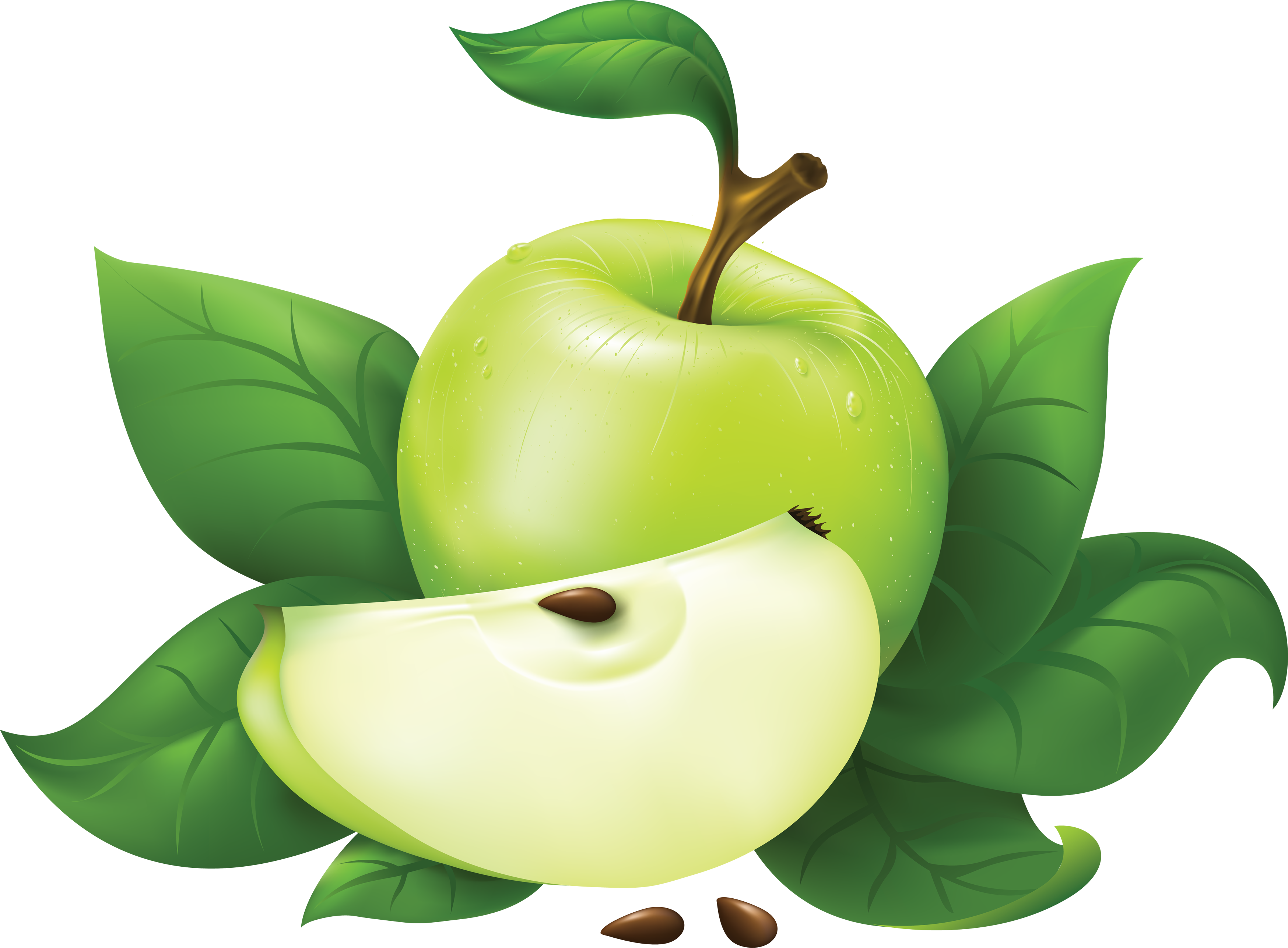 Apple Clipart Grey Jpg Library Stock Green Apple Eleven - Green Apple Images Free - Png Download (3497x2576), Png Download